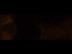 Ufficiale della società Fadior