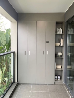 Unità di stoccaggio a balcone grigio stellato Lavatrice e asciugatrice